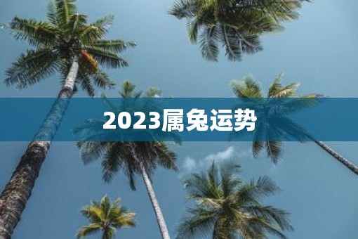 2023属兔运势