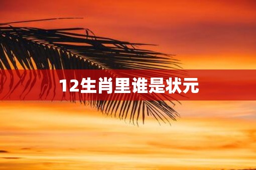 12生肖里谁是状元