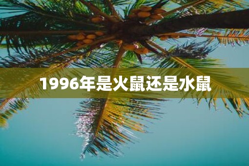 1996年是火鼠还是水鼠