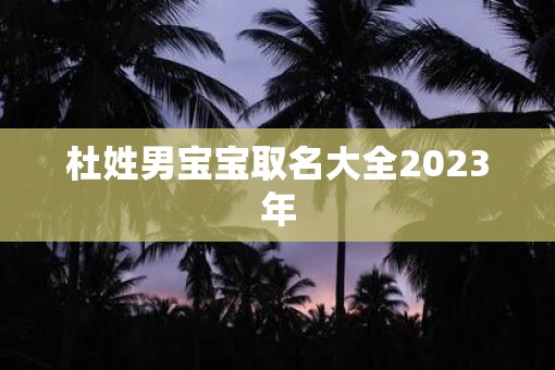 杜姓男宝宝取名大全2023年