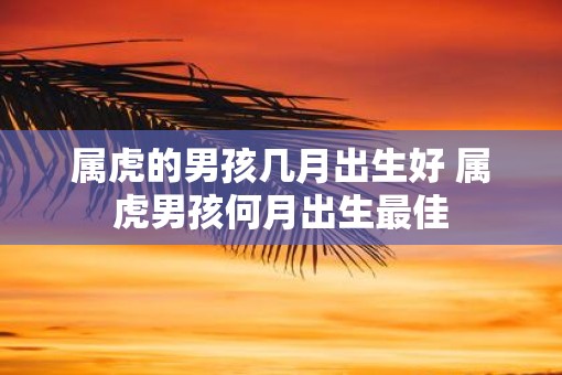 属虎的男孩几月出生好 属虎男孩何月出生最佳