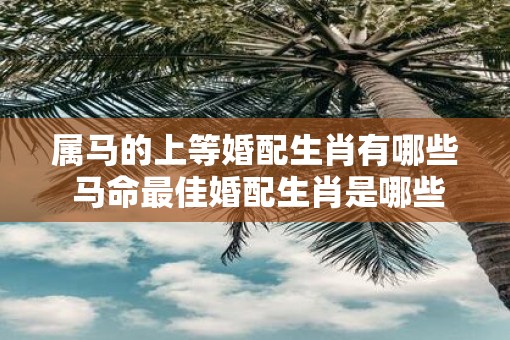 属马的上等婚配生肖有哪些 马命最佳婚配生肖是哪些