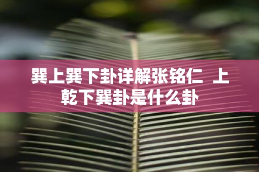 巽上巽下卦详解张铭仁  上乾下巽卦是什么卦