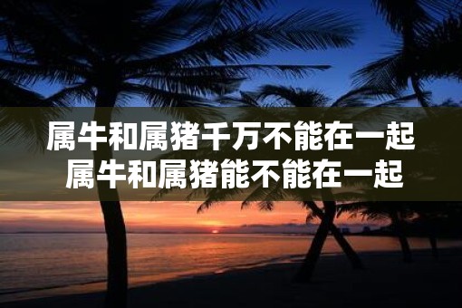 属牛和属猪千万不能在一起 属牛和属猪能不能在一起