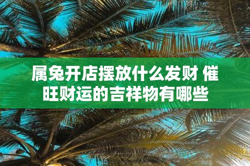属兔开店摆放什么发财 催旺财运的吉祥物有哪些
