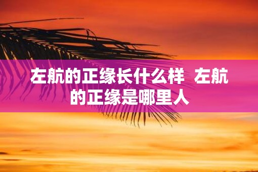 左航的正缘长什么样  左航的正缘是哪里人