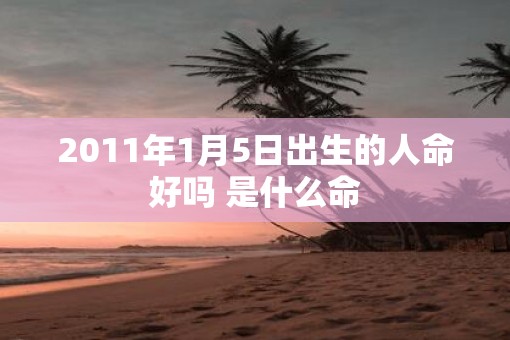 2011年1月5日出生的人命好吗 是什么命