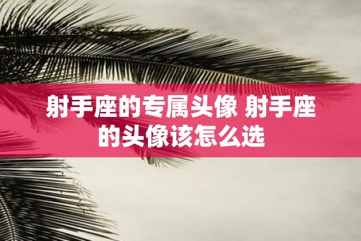 射手座的专属头像 射手座的头像该怎么选
