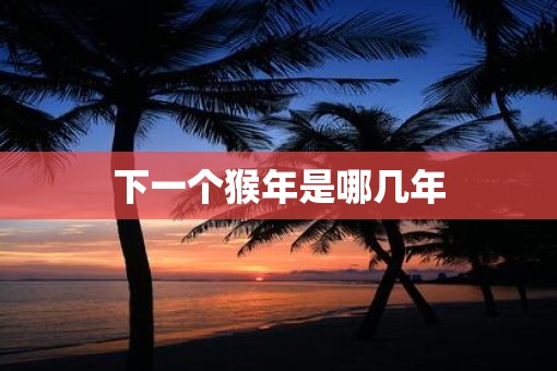 下一个猴年是哪几年
