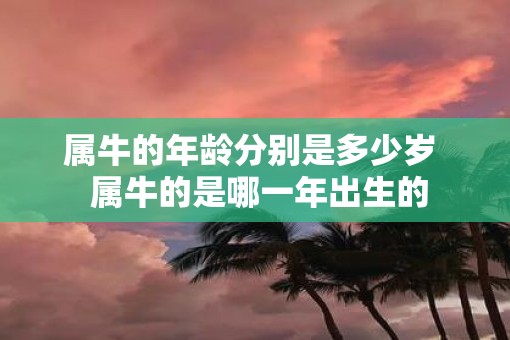 属牛的年龄分别是多少岁  属牛的是哪一年出生的