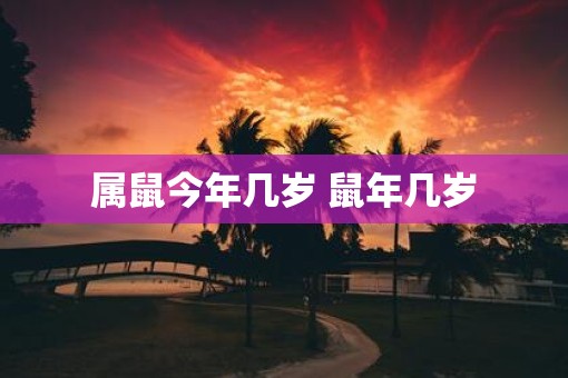属鼠今年几岁 鼠年几岁