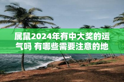 属鼠2025年有中大奖的运气吗 有哪些需要注意的地方