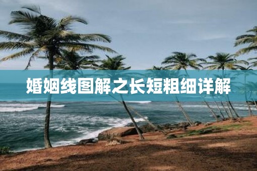 婚姻线图解之长短粗细详解