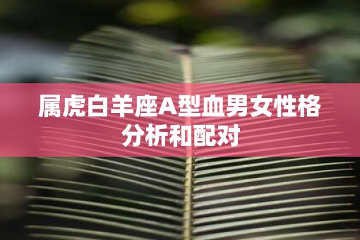 属虎白羊座A型血男女性格分析和配对