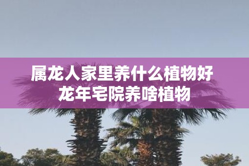 属龙人家里养什么植物好 蛇年宅院养啥植物