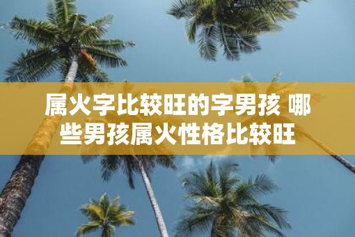 属火字比较旺的字男孩 哪些男孩属火性格比较旺