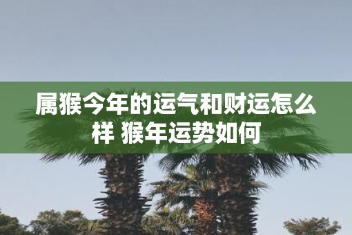 属猴今年的运气和财运怎么样 猴年运势如何