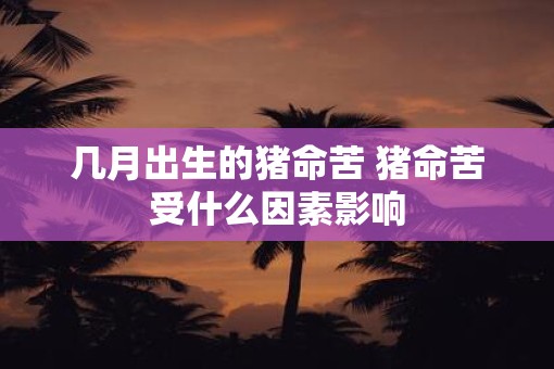 几月出生的猪命苦 猪命苦受什么因素影响