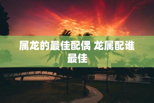属龙的最佳配偶 龙属配谁最佳