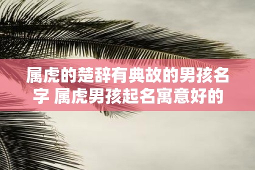 属虎的楚辞有典故的男孩名字 属虎男孩起名寓意好的字