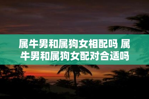 属牛男和属狗女相配吗 属牛男和属狗女配对合适吗
