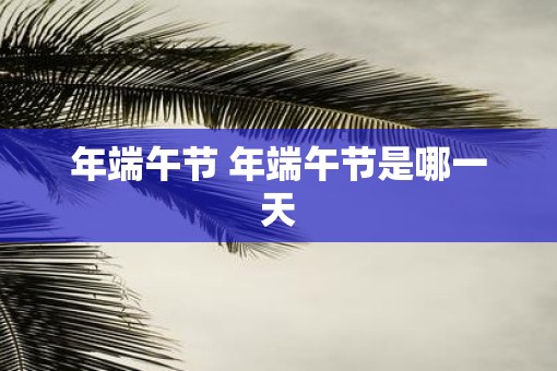 年端午节 年端午节是哪一天