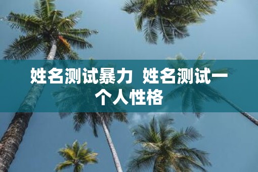 姓名测试暴力  姓名测试一个人性格
