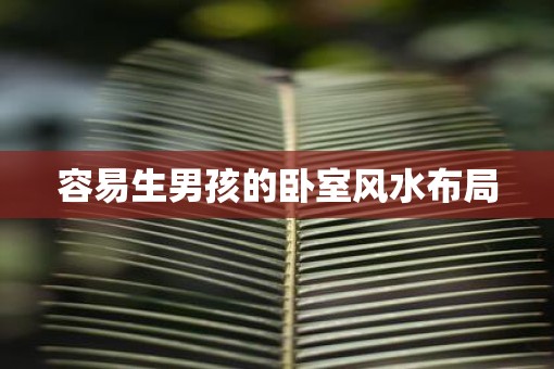 容易生男孩的卧室风水布局