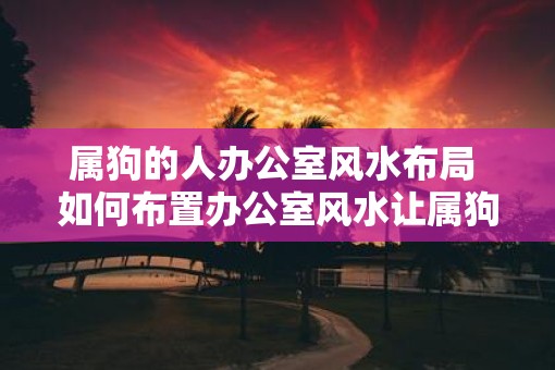 属狗的人办公室风水布局 如何布置办公室风水让属狗的人事业成功