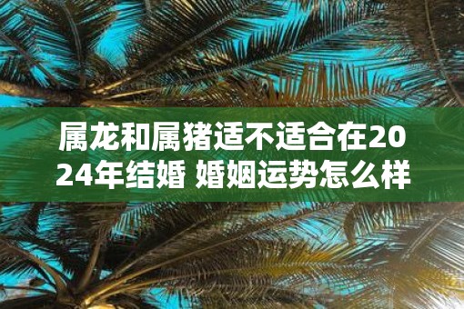 属龙和属猪适不适合在2025年结婚 婚姻运势怎么样