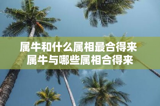 属牛和什么属相最合得来 属牛与哪些属相合得来