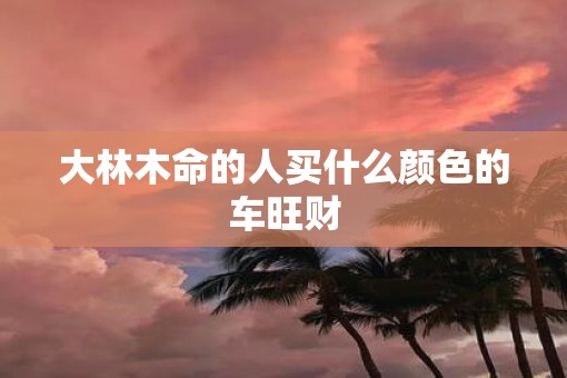 大林木命的人买什么颜色的车旺财