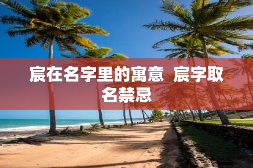 宸在名字里的寓意  宸字取名禁忌
