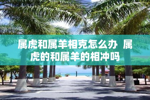 属虎和属羊相克怎么办  属虎的和属羊的相冲吗