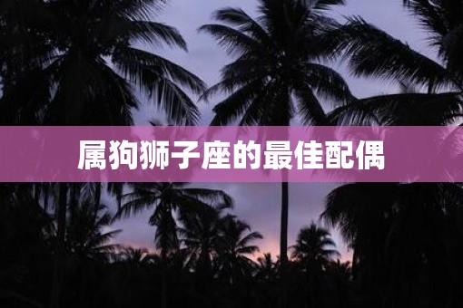 属狗狮子座的最佳配偶