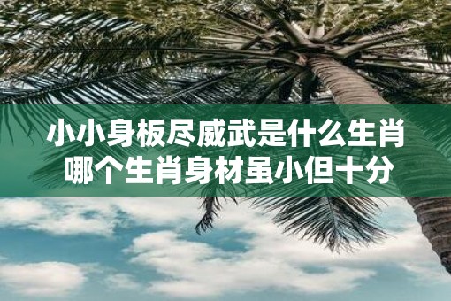 小小身板尽威武是什么生肖 哪个生肖身材虽小但十分威武