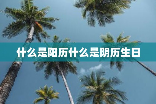 什么是阳历什么是阴历生日