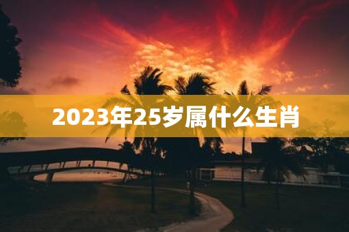 2025年25岁属什么生肖