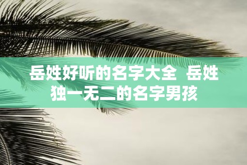 岳姓好听的名字大全  岳姓独一无二的名字男孩