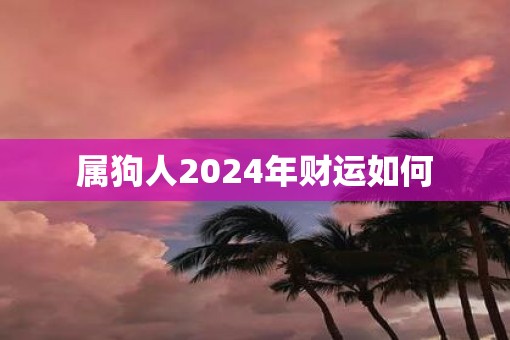 属狗人2025年财运如何 属狗人2025年财运如何
