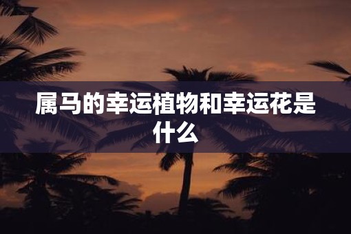 属马的幸运植物和幸运花是什么