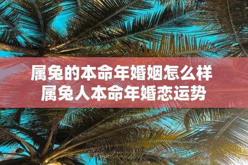 属兔的本命年婚姻怎么样 属兔人本命年婚恋运势