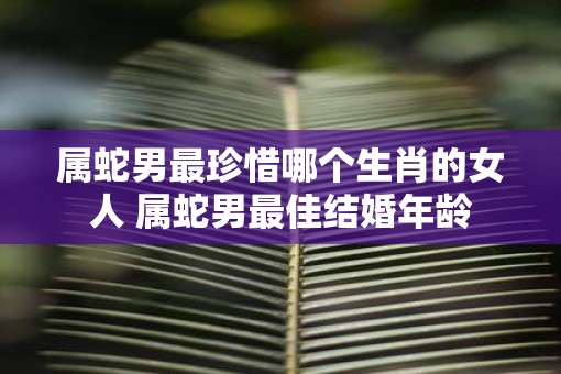 属蛇男最珍惜哪个生肖的女人 属蛇男最佳结婚年龄