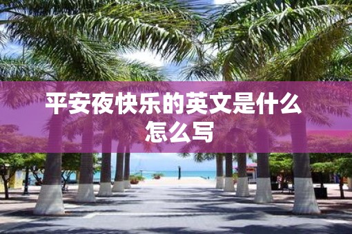 平安夜快乐的英文是什么  怎么写
