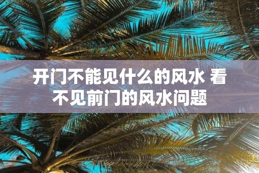开门不能见什么的风水 看不见前门的风水问题