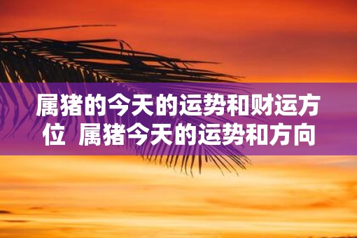 属猪的今天的运势和财运方位  属猪今天的运势和方向