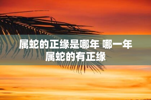 属蛇的正缘是哪年 哪一年属蛇的有正缘