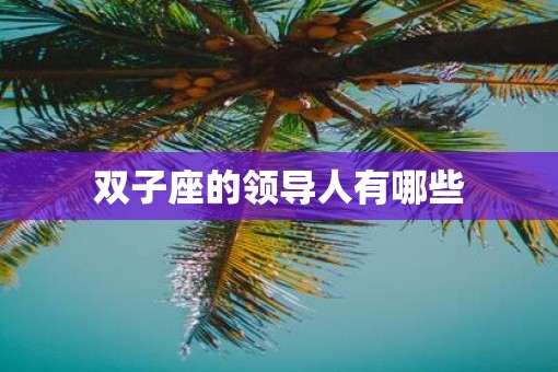 双子座的领导人有哪些