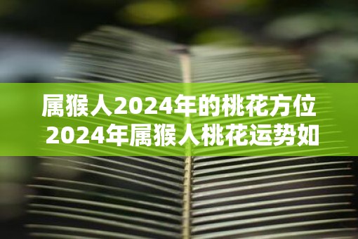 属猴人2025年的桃花方位 2025年属猴人桃花运势如何