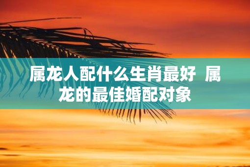 属龙人配什么生肖最好  属龙的最佳婚配对象